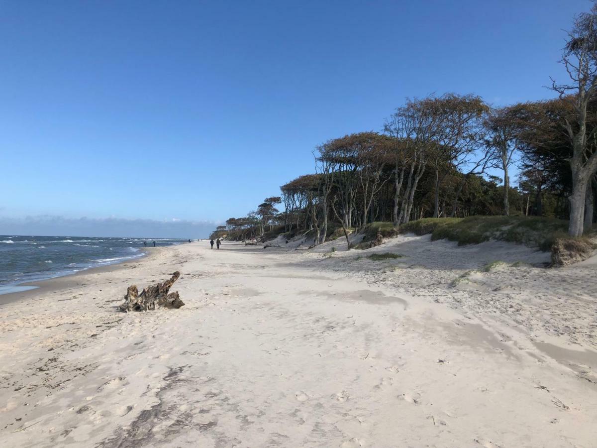 Prerow „Seaside“-Strandnah! Exteriör bild