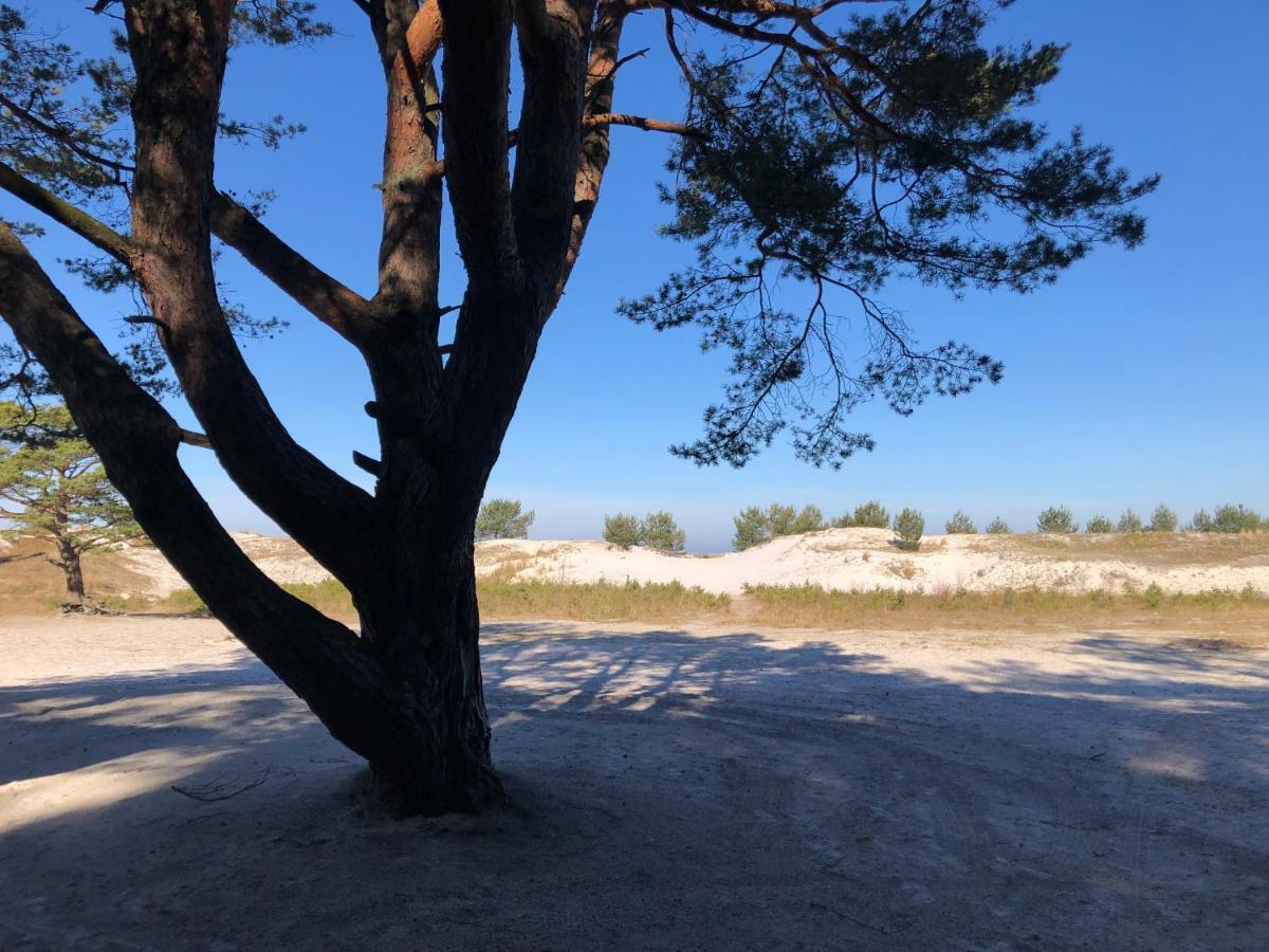 Prerow „Seaside“-Strandnah! Exteriör bild